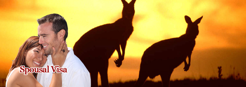 Dependable Visa assistance guaranteed right from the start